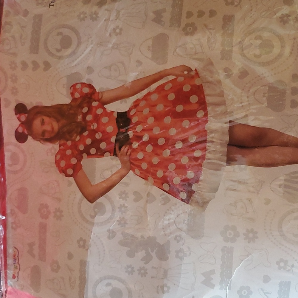 Minnie mouse costume